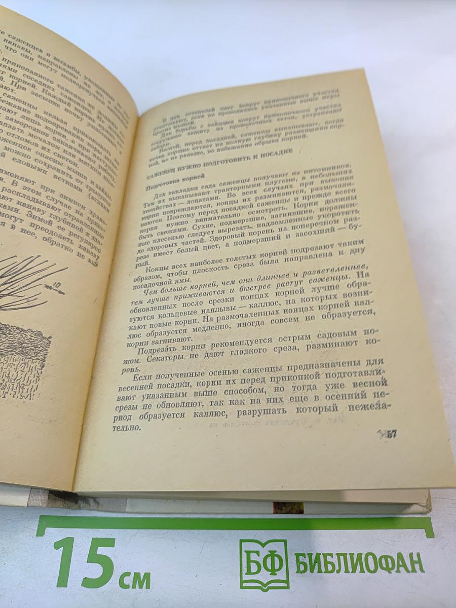Практические советы по садоводству