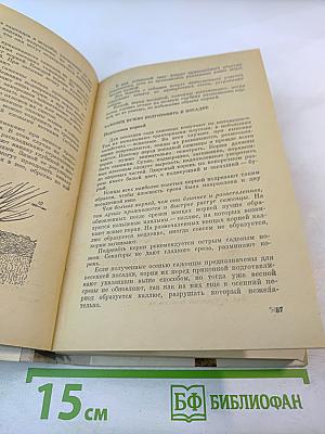 Практические советы по садоводству