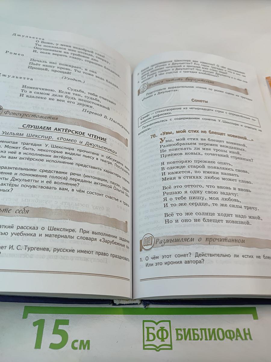 Литература, 8 класс, Часть 2