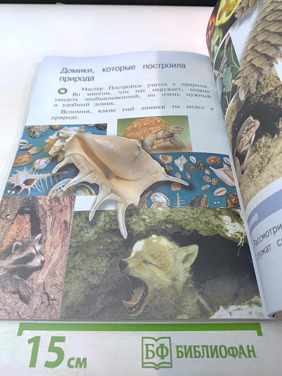 Изобразительное искусство, 1 класс