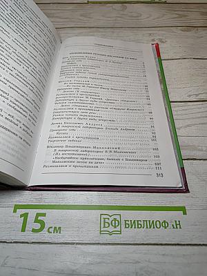 Литература. 7 класс. Учебник. Часть 2