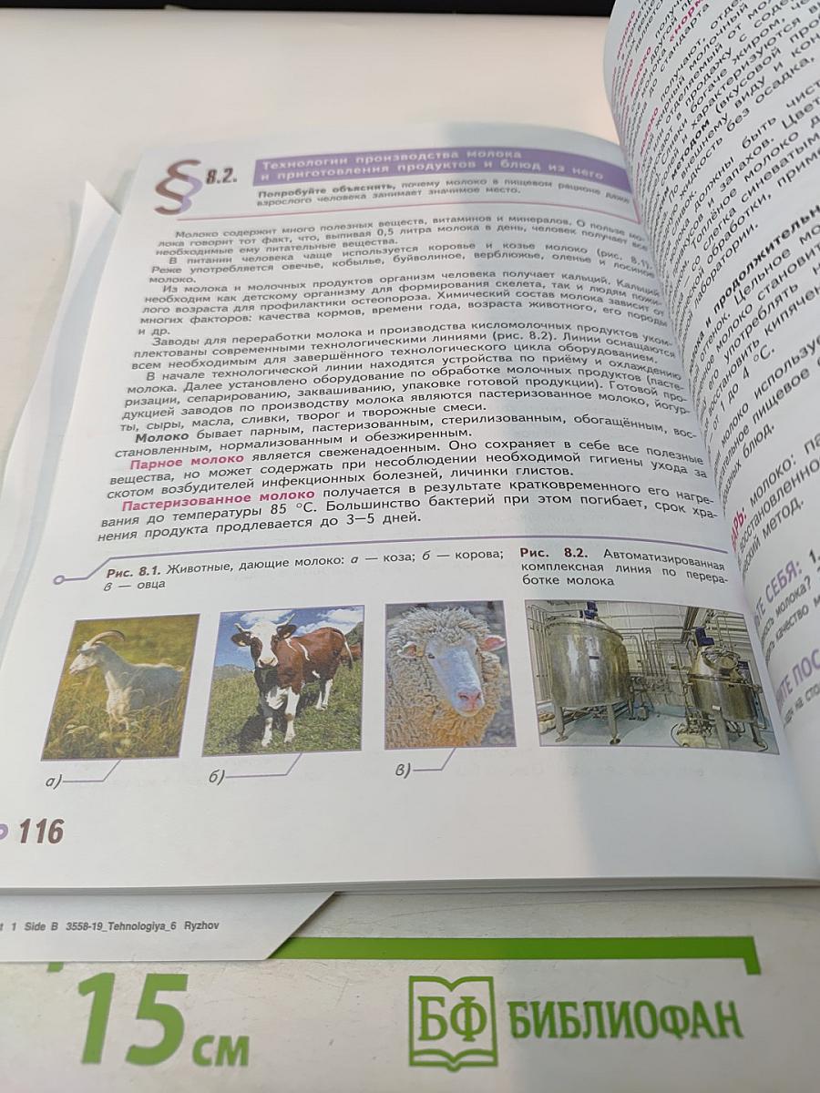 Технология. 6 класс