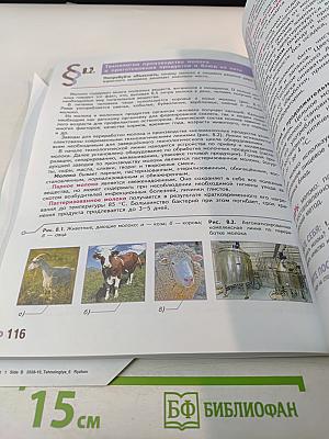 Технология. 6 класс