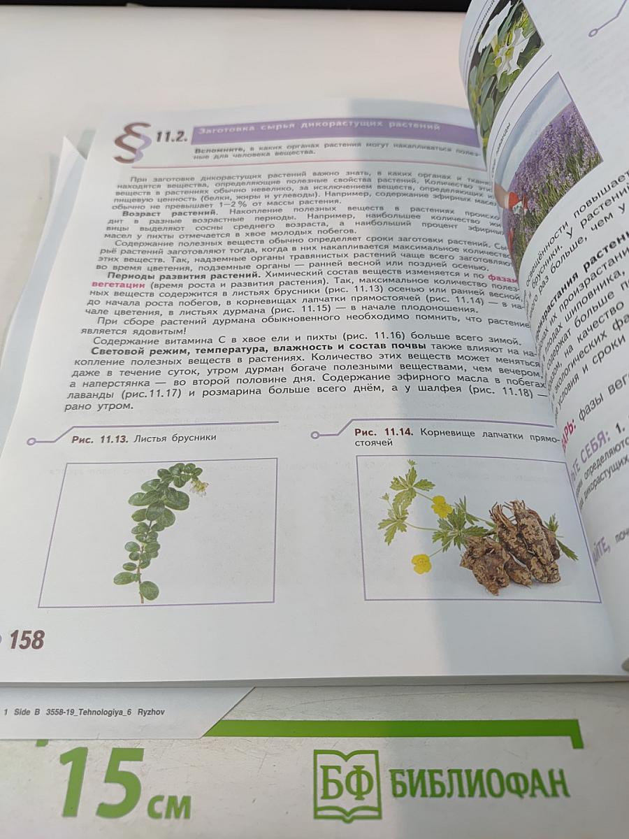 Технология. 6 класс