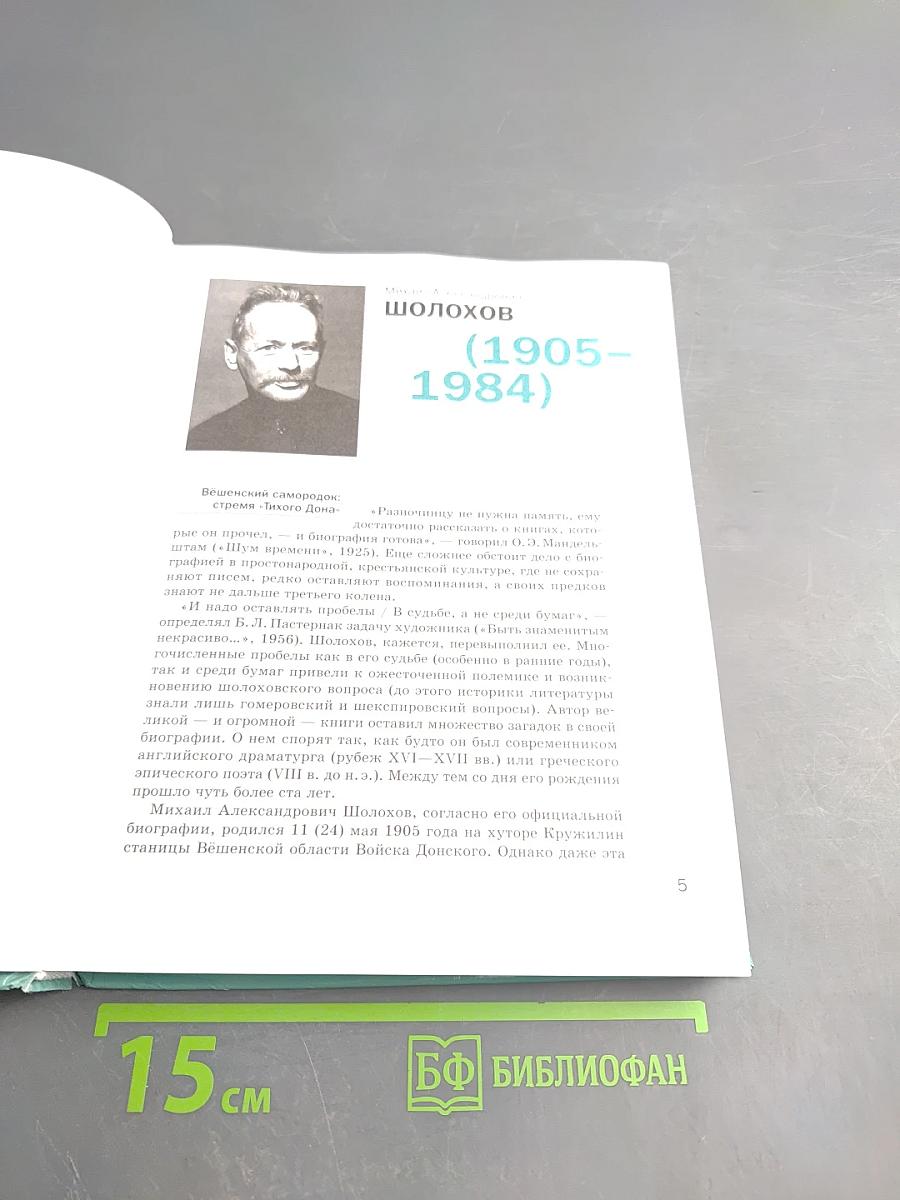 Литература. Учебник для 11 класса. Базовый уровень. В двух частях. Часть 2