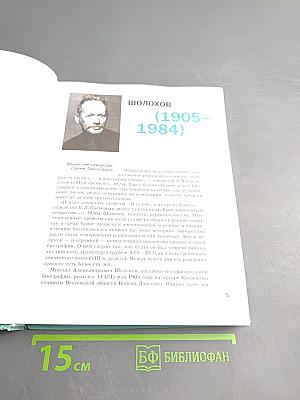 Литература. Учебник для 11 класса. Базовый уровень. В двух частях. Часть 2