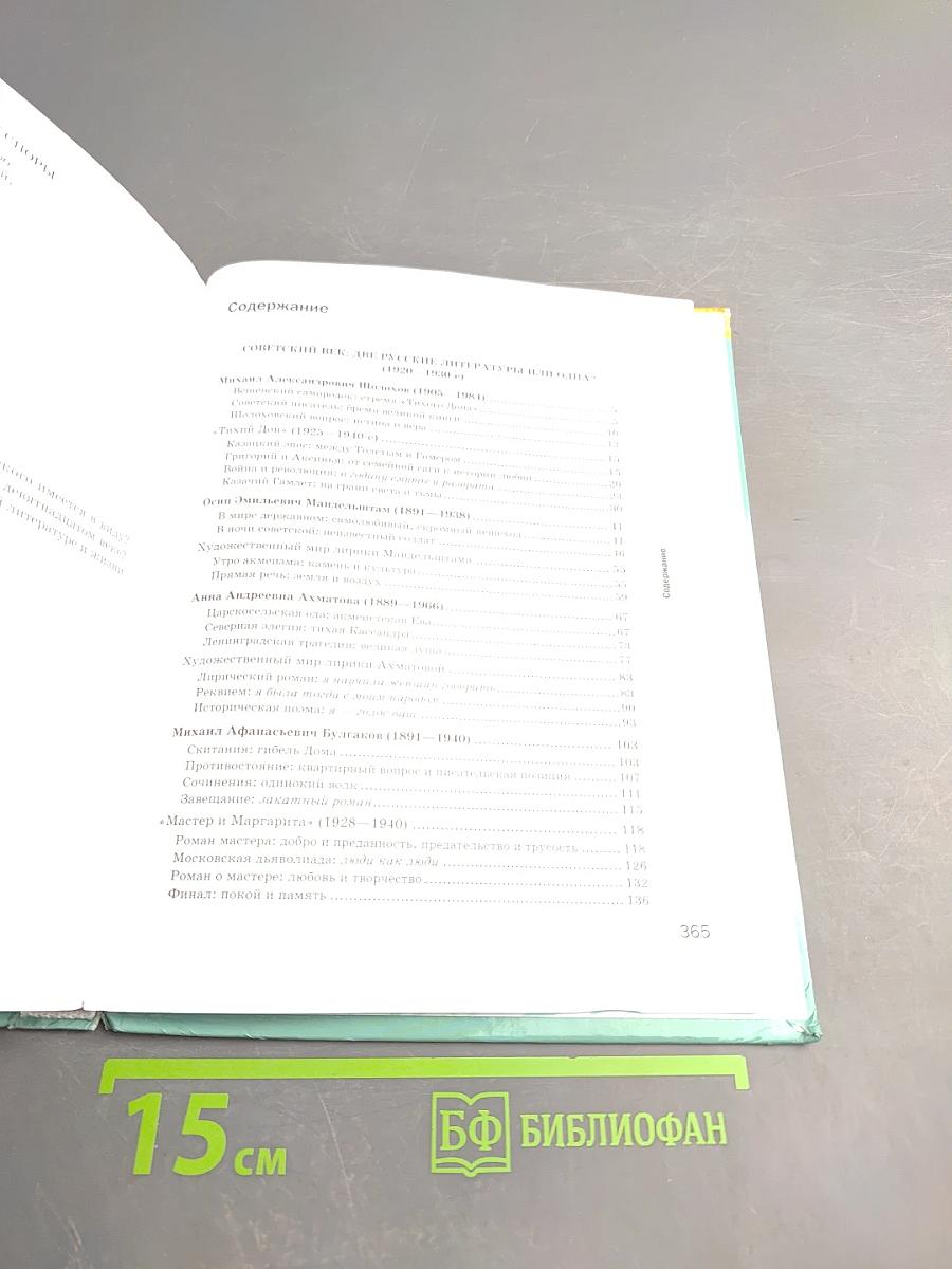 Литература. Учебник для 11 класса. Базовый уровень. В двух частях. Часть 2