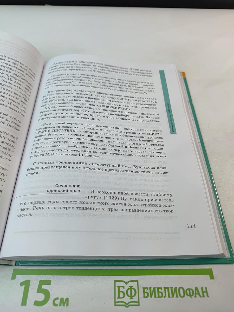 Литература, 11 класс, базовый уровень, Часть 2