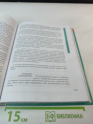 Литература, 11 класс, базовый уровень, Часть 2