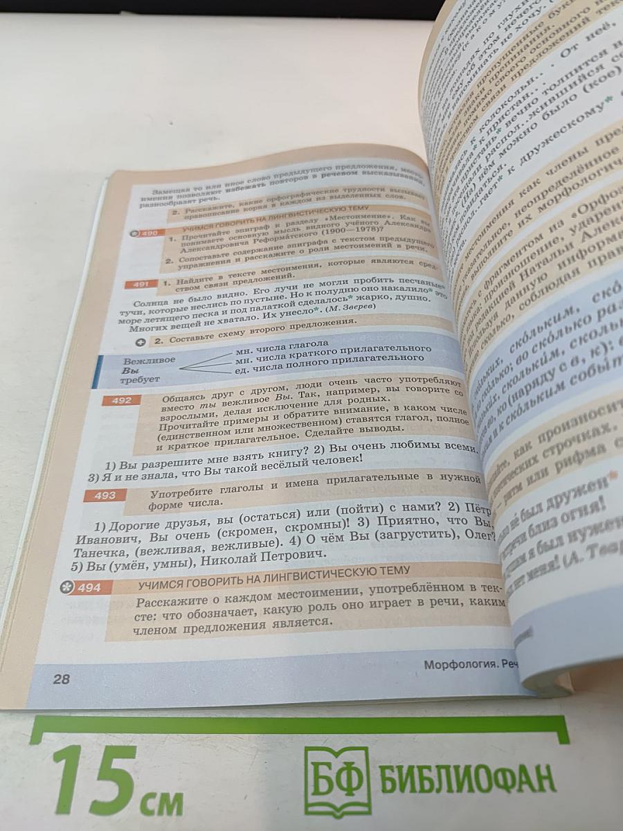 Русский язык. 6 класс. Часть II