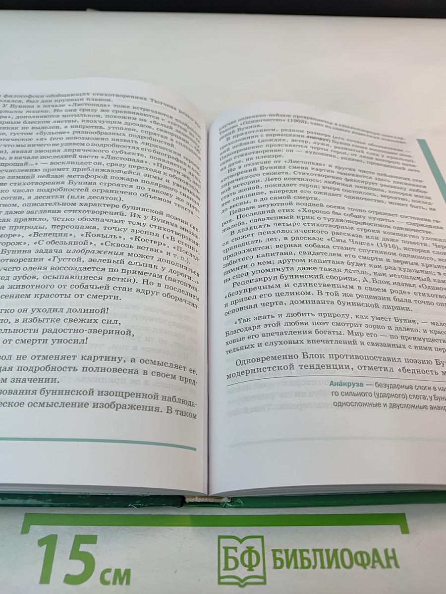 Литература 11 класс, базовый уровень, в двух частях, часть 1