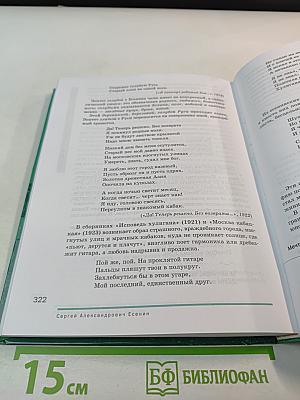 Литература 11 класс, базовый уровень, в двух частях, часть 1