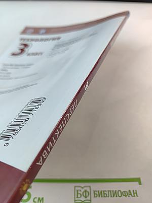 Технология 3 класс