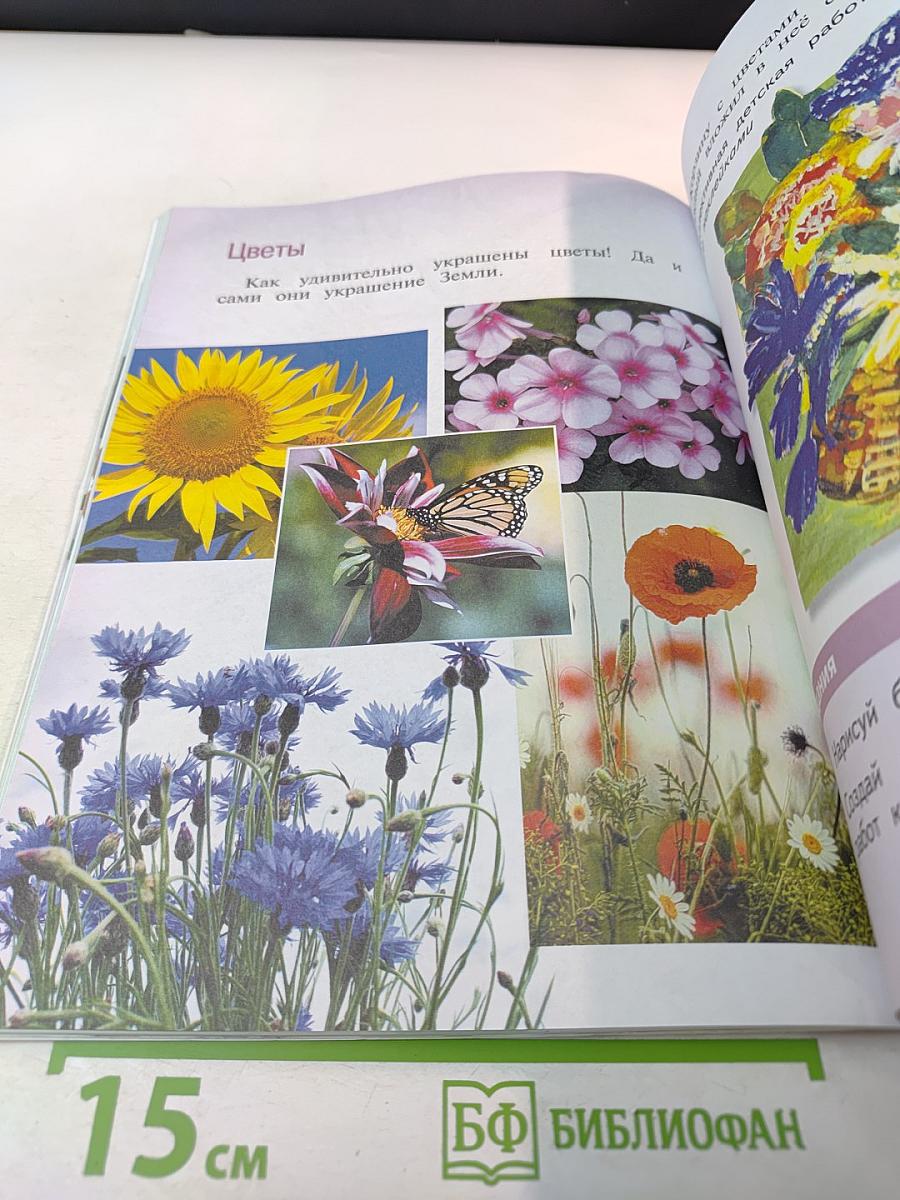 Изобразительное искусство. 1 класс