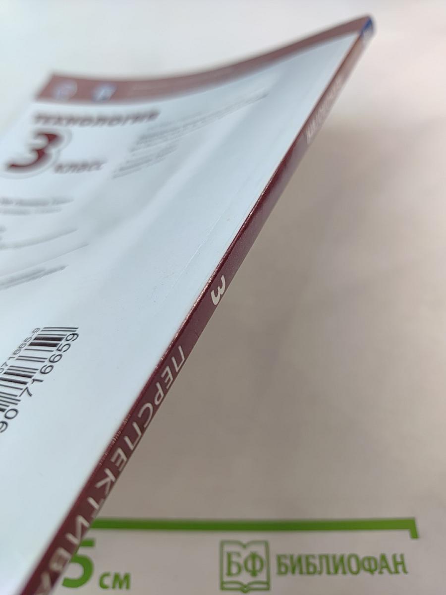 Технология 3 класс