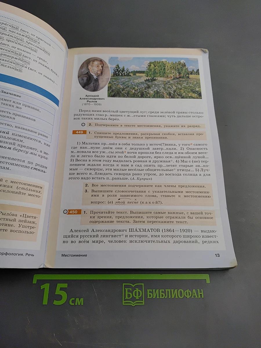 Русский язык. 6 класс. Часть II