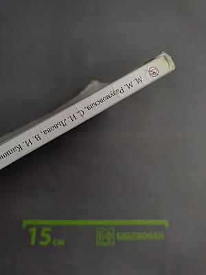 Русский язык. 6 класс. Часть II