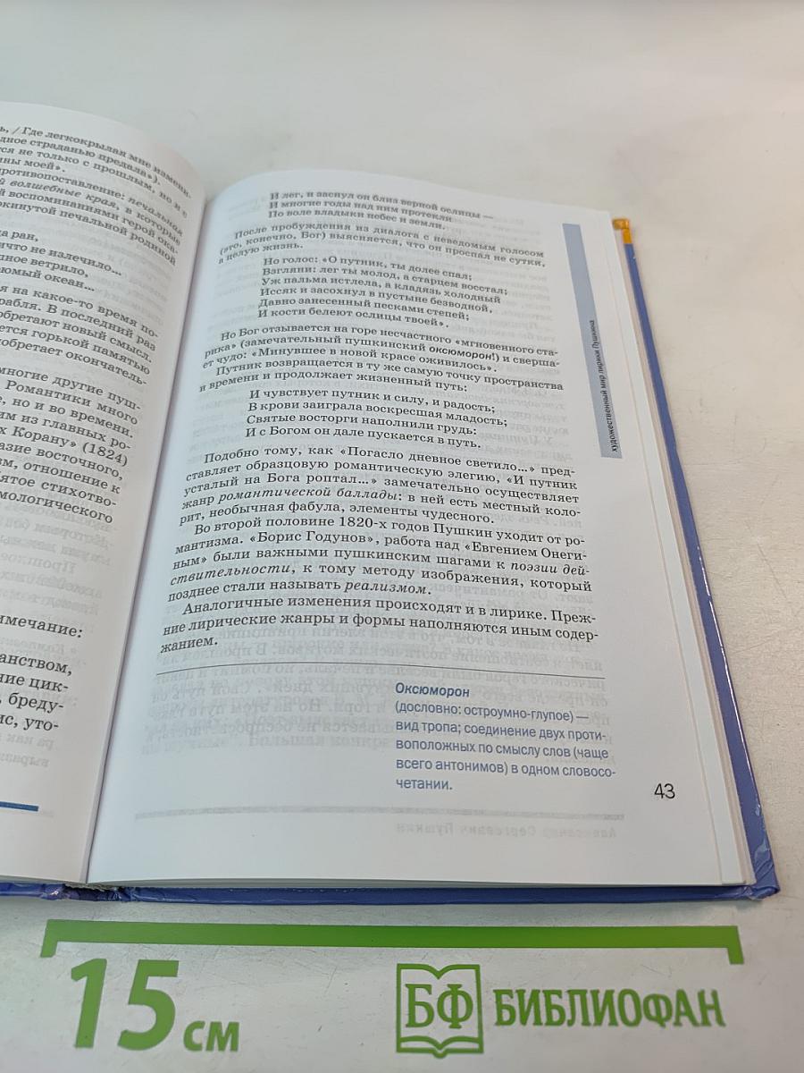 Литература 10 класс. Базовый уровень. Часть 1