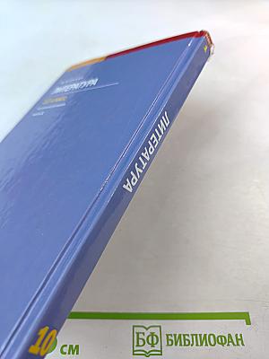 Литература 10 класс. Базовый уровень. Часть 1