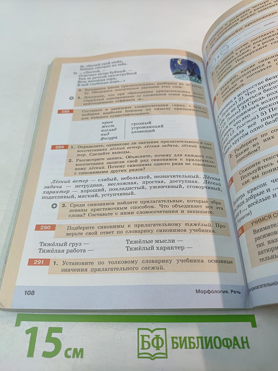 Русский язык. 6 класс. Часть I