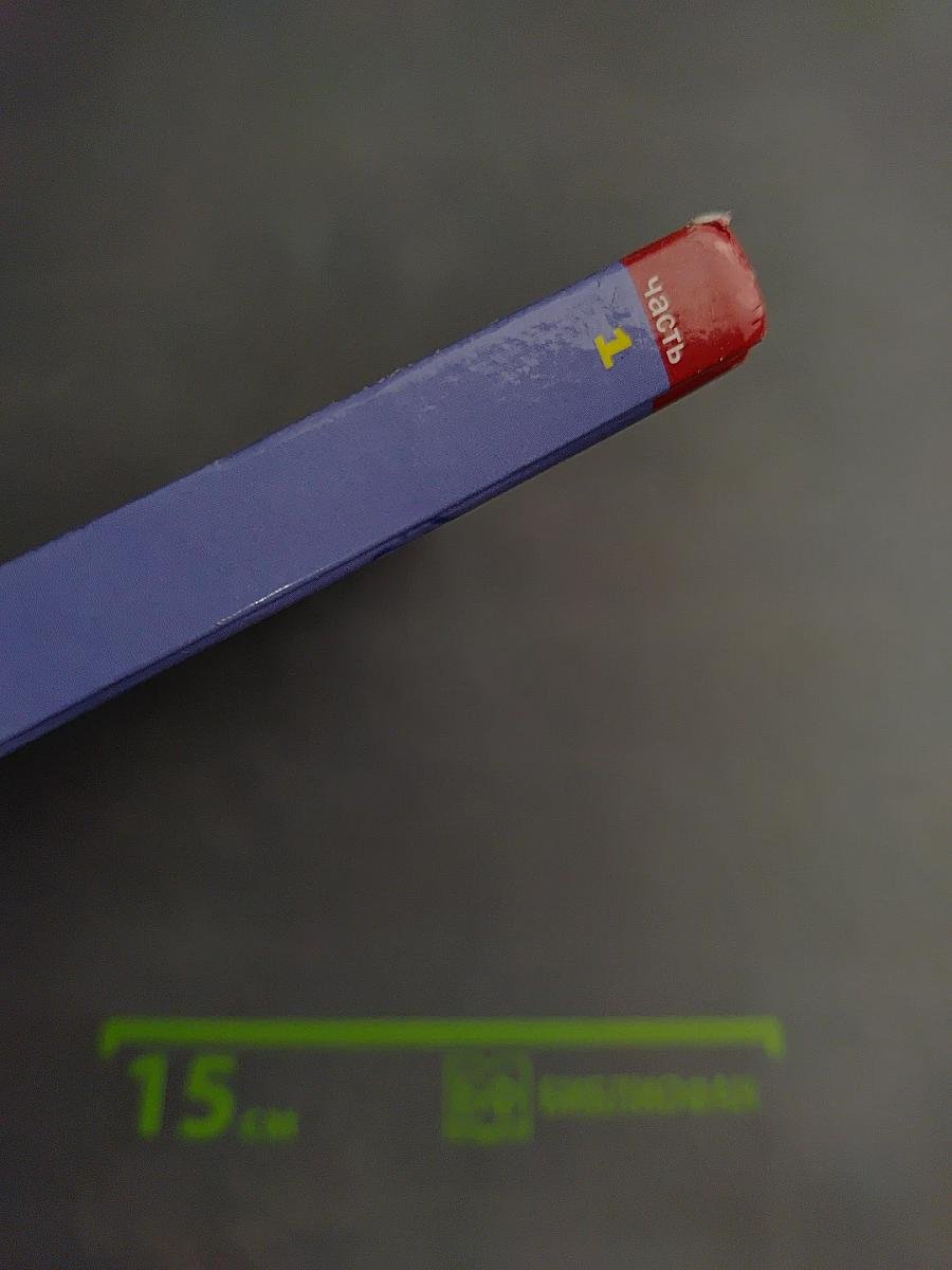 ЛИТЕРАТУРА 10 класс, часть 1