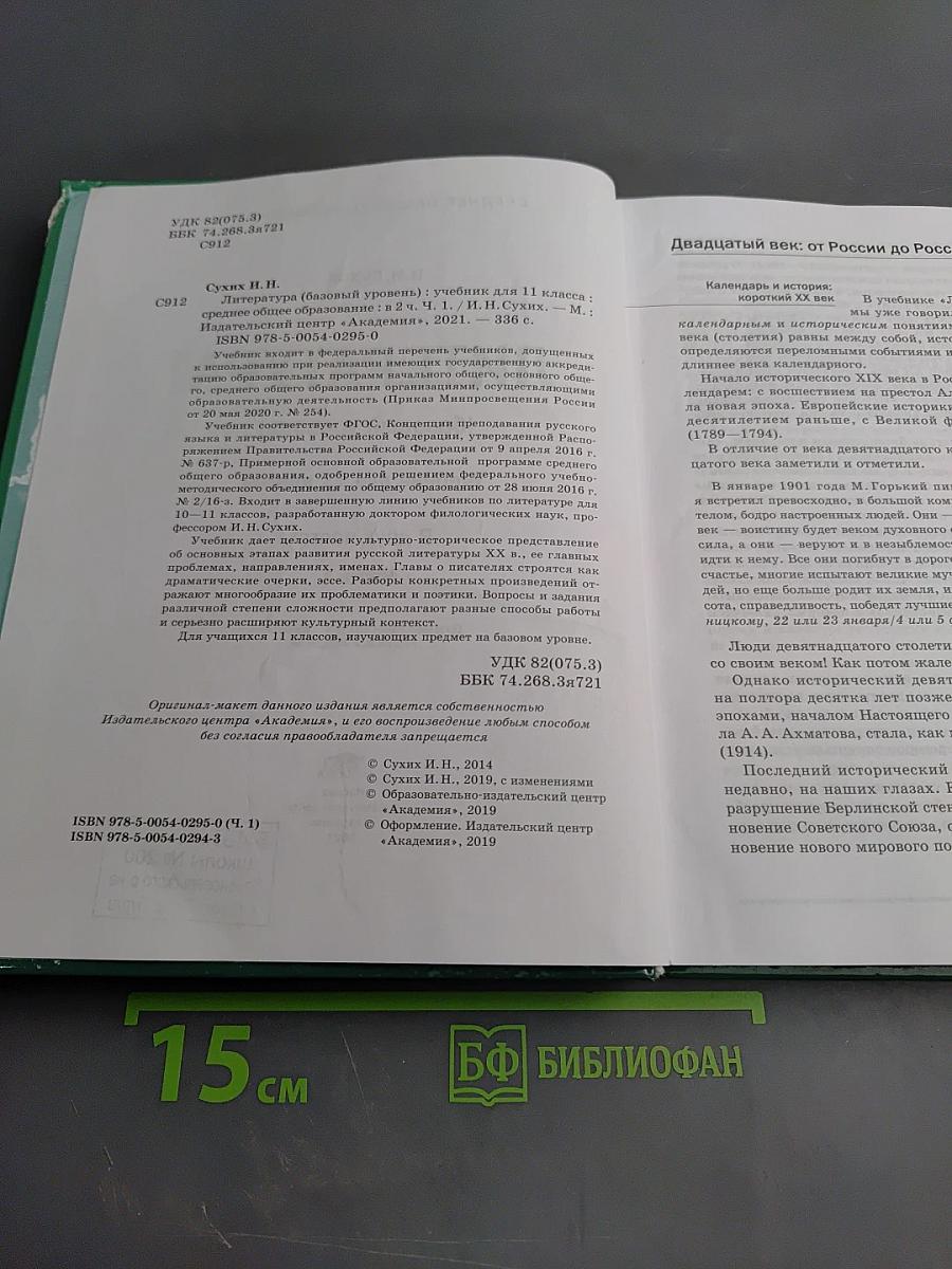 Литература. Базовый уровень. Учебник для 11 класса. В двух частях. Часть 1