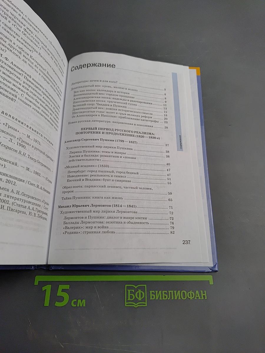 Литература, 10 класс, базовый уровень, часть 1