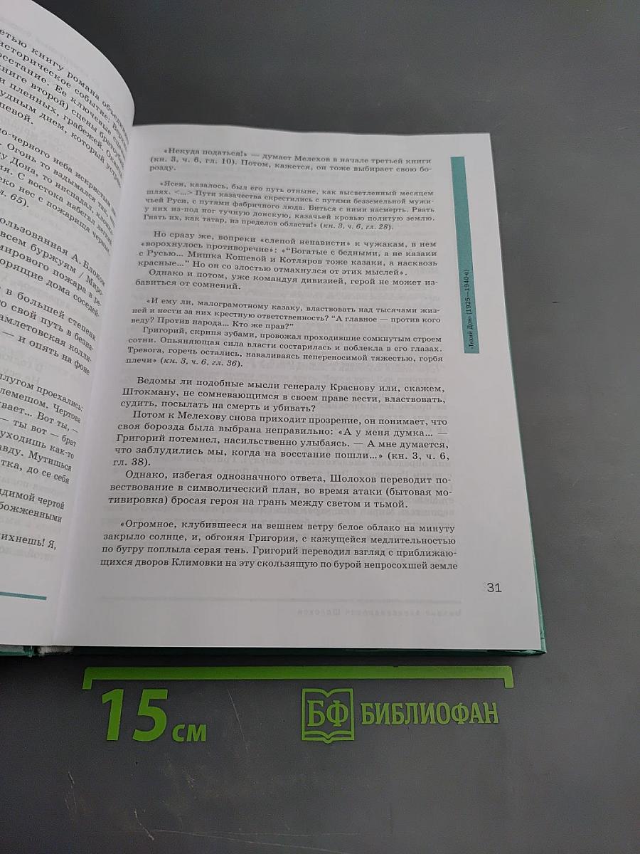 Литература. 11 класс. Базовый уровень. Часть 2