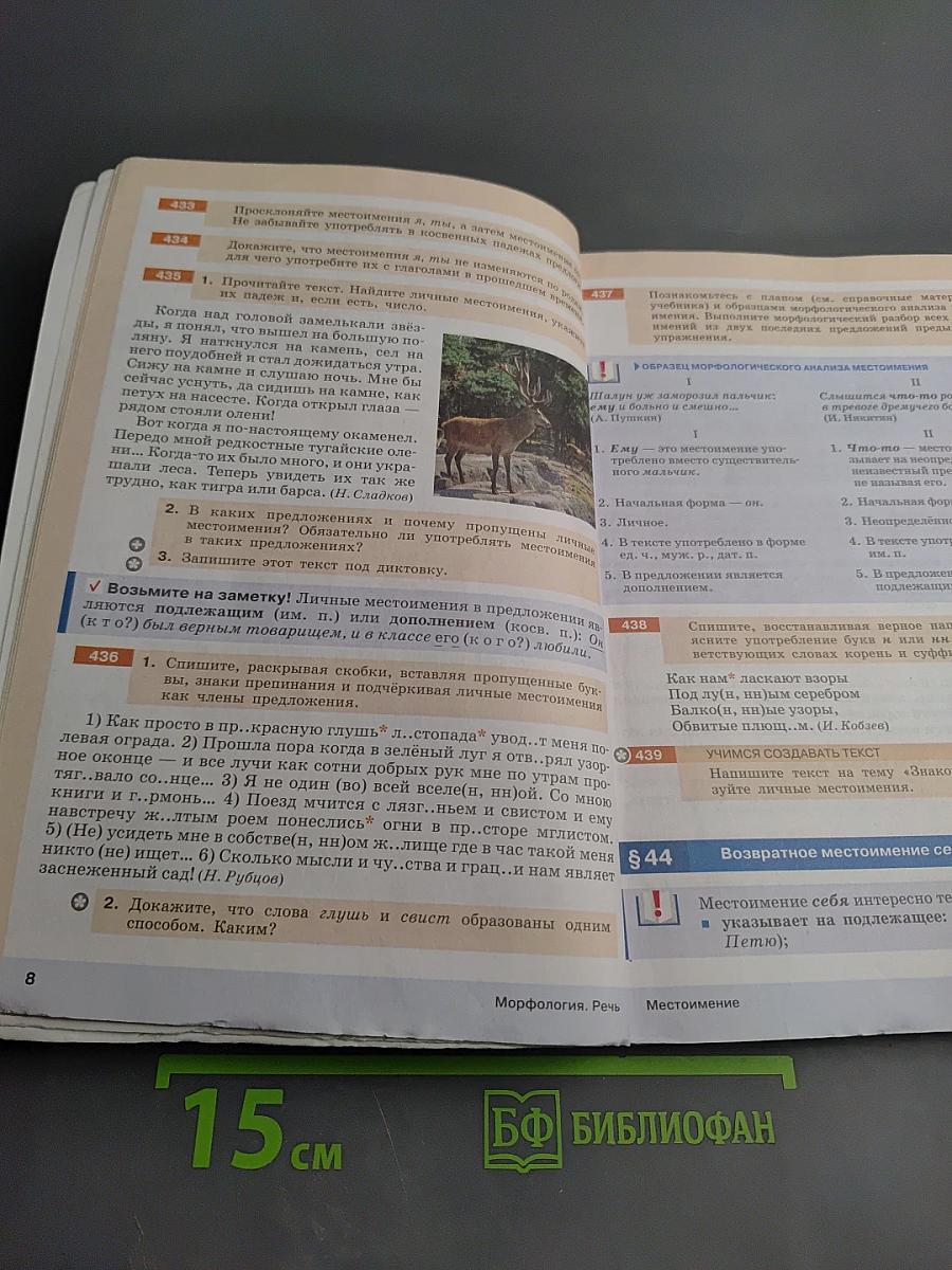 Русский язык. 6 класс. Часть II