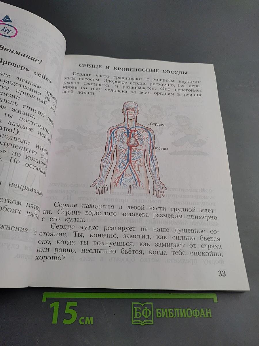 Физическая культура 1-4 классы