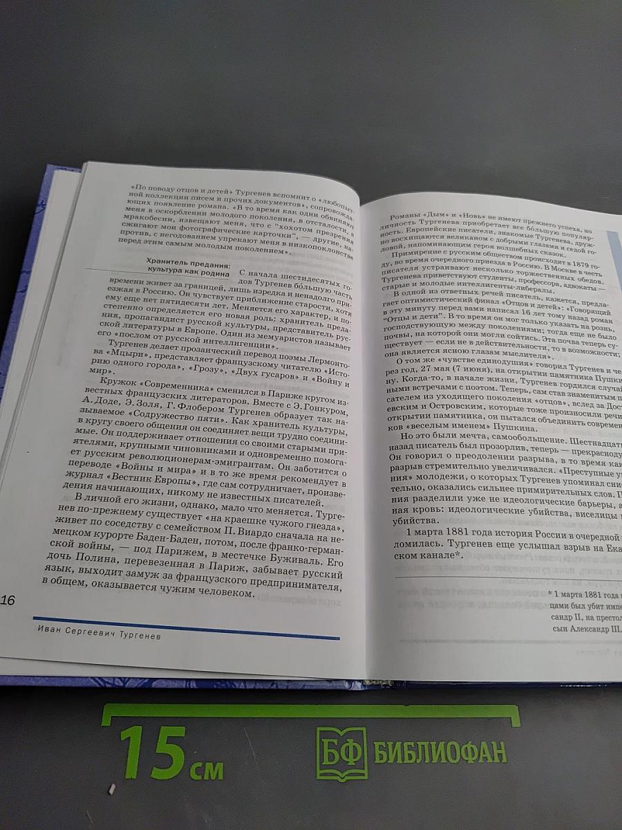 Литература, 10 класс, базовый уровень, часть 2