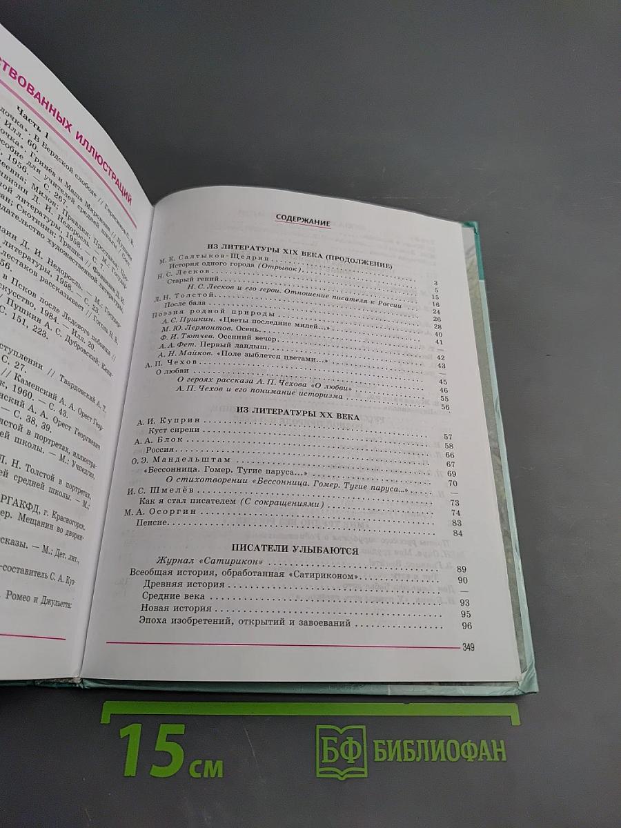 Литература. 8 класс, Часть 2