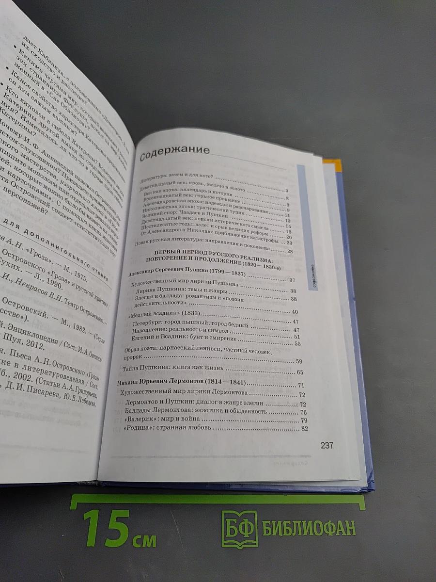 Литература, 10 класс, Часть 1