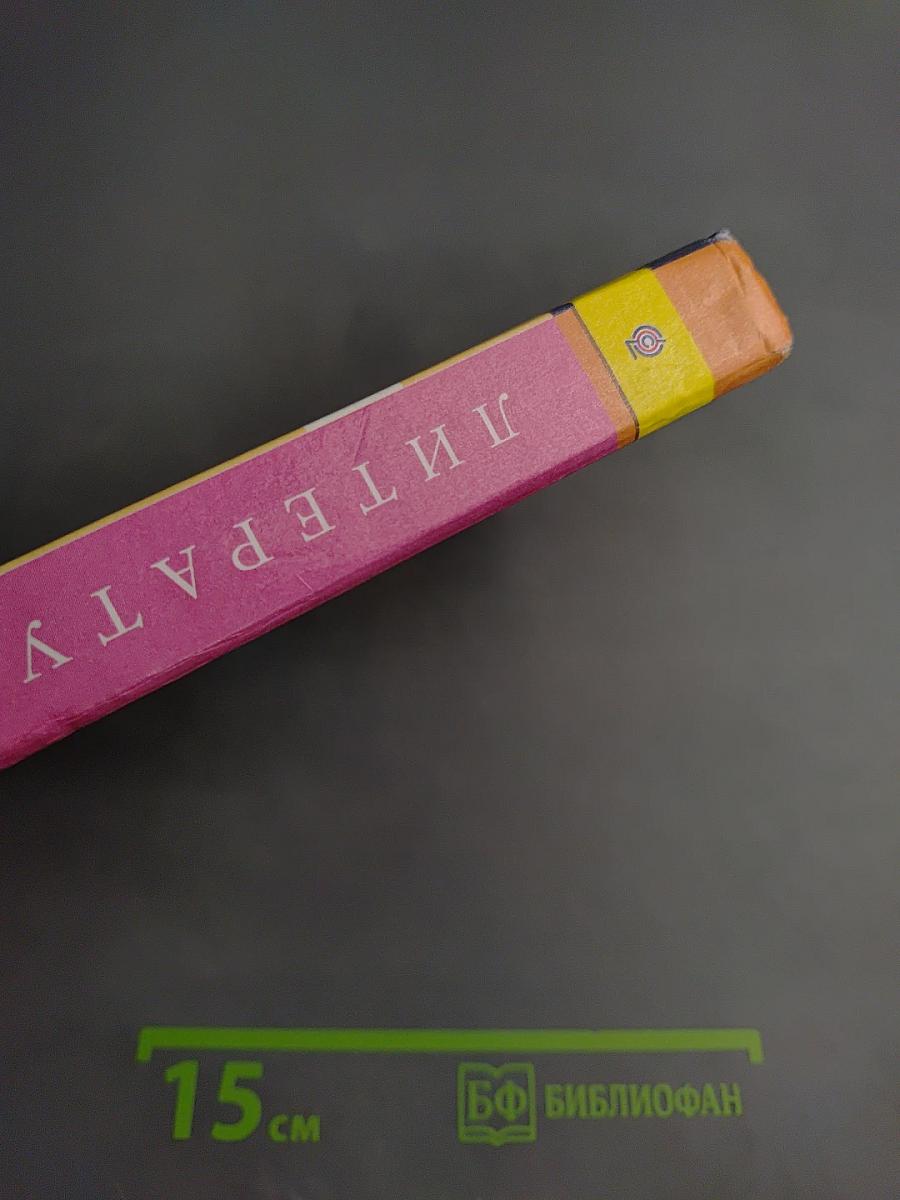 Литература. 8 класс. Часть 1