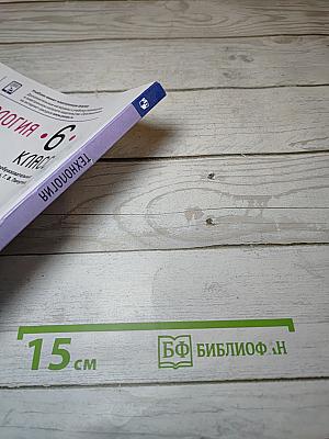 Технология. 6 класс