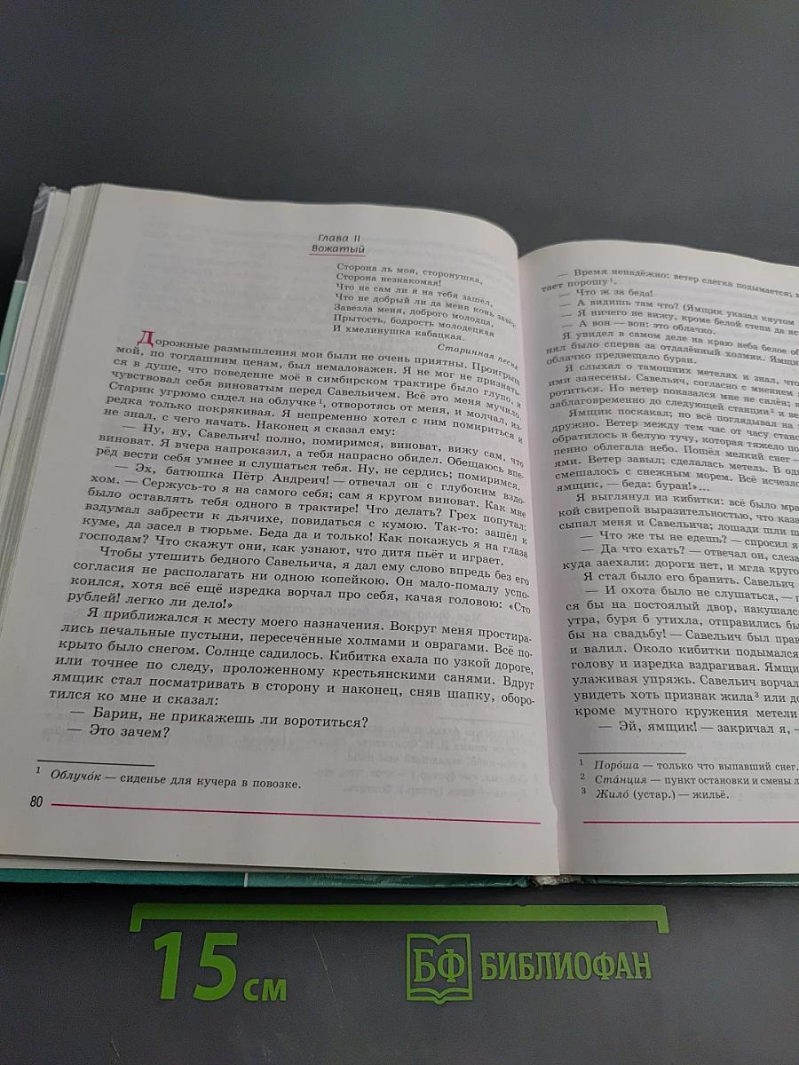 Литература. 8 класс. Часть 1