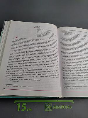 Литература. 8 класс. Часть 1