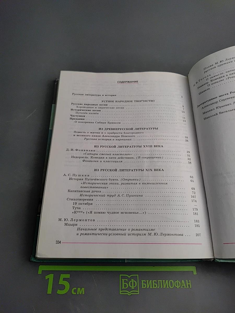 Литература. 8 класс. Часть 1