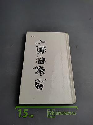 Сигнальщики и Горнисты