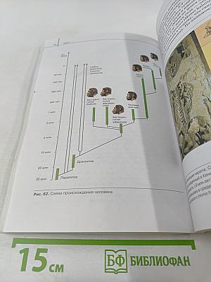 Биология. Общая биология. 11 класс