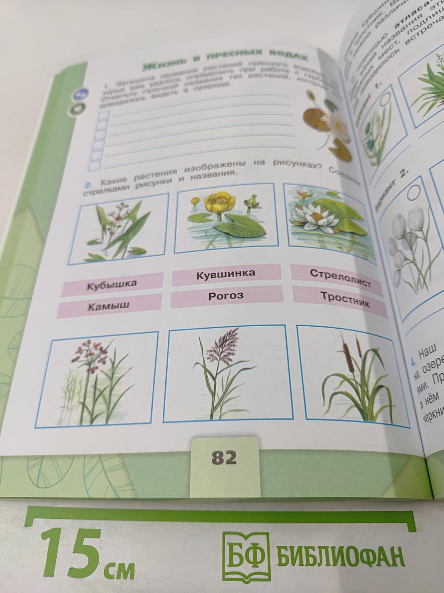 Окружающий мир. Рабочая тетрадь. 4 класс. Часть 1