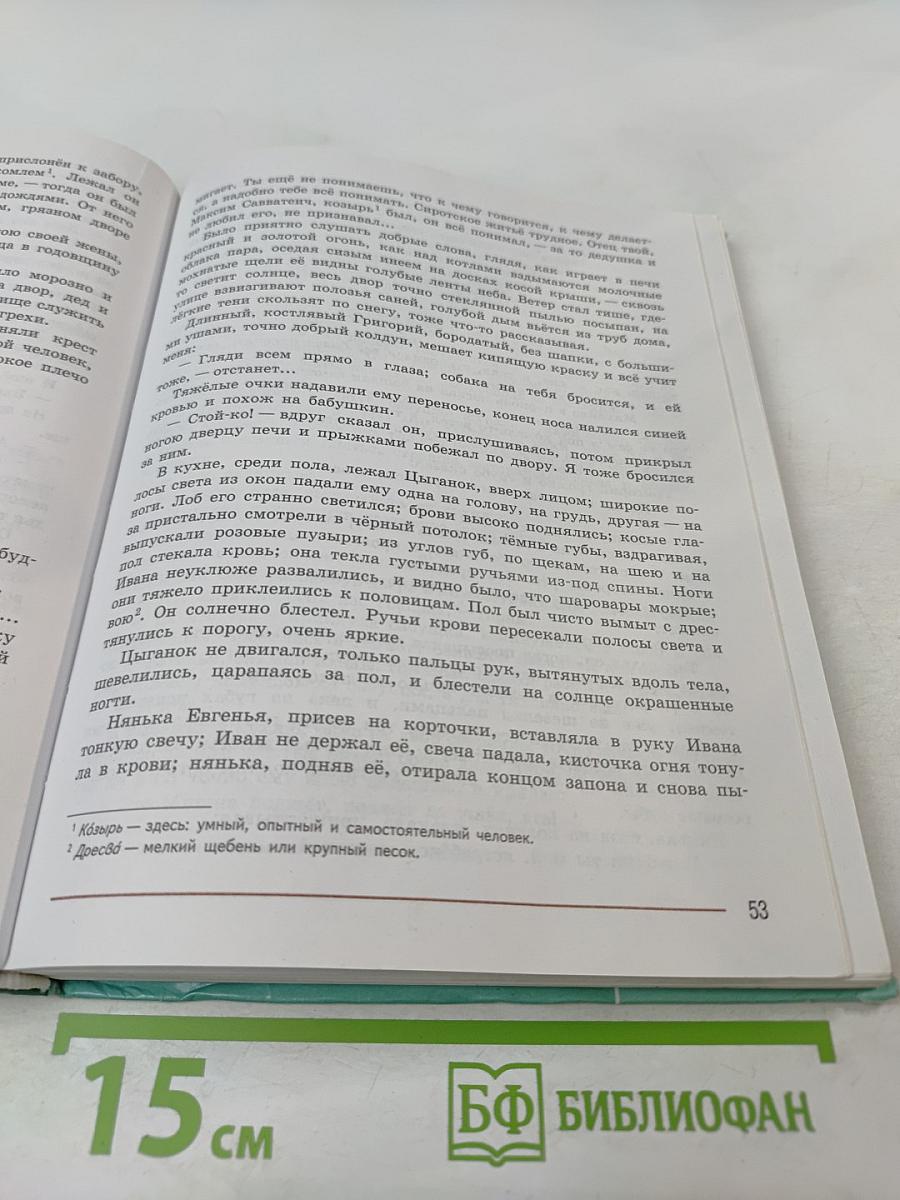 Литература, 7 класс, Часть 2