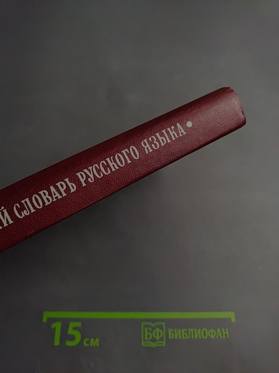 Толковый словарь русского языка для учащихся национальных школ