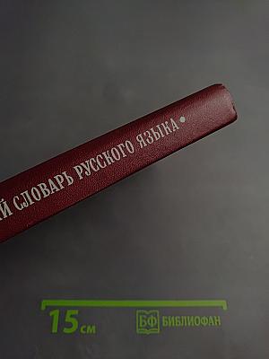 Толковый словарь русского языка для учащихся национальных школ