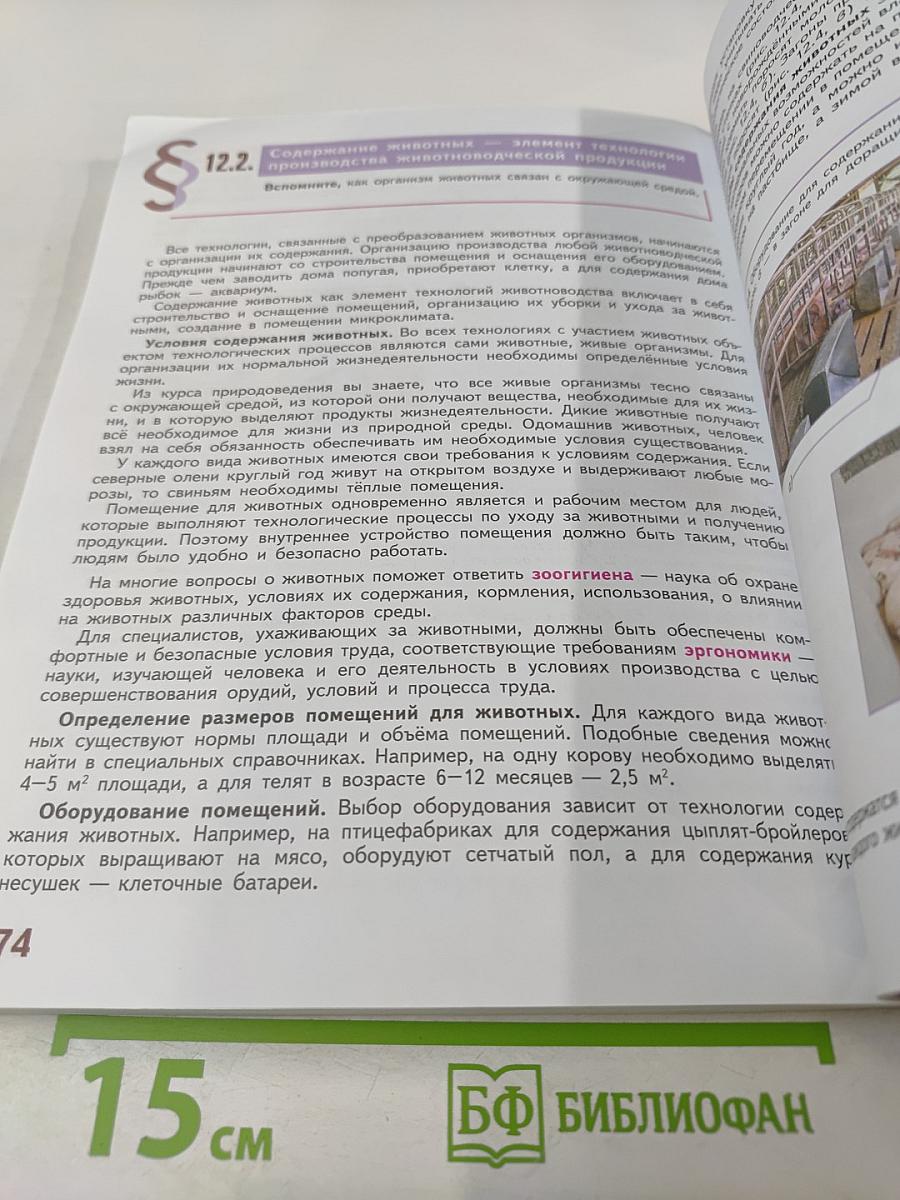 Технология. 6 класс