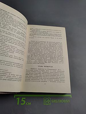 Вице-президент Бэрр. Роман