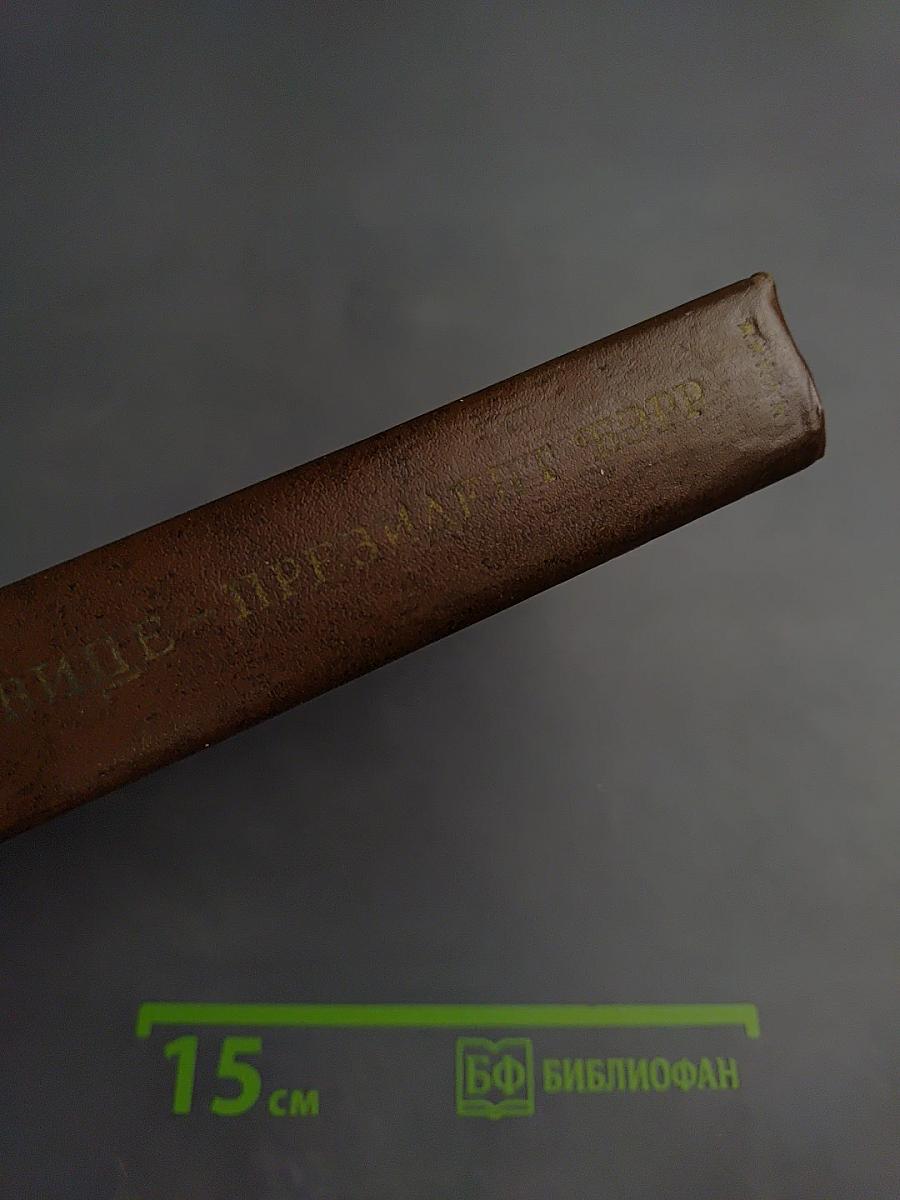 Вице-президент Бэрр. Роман