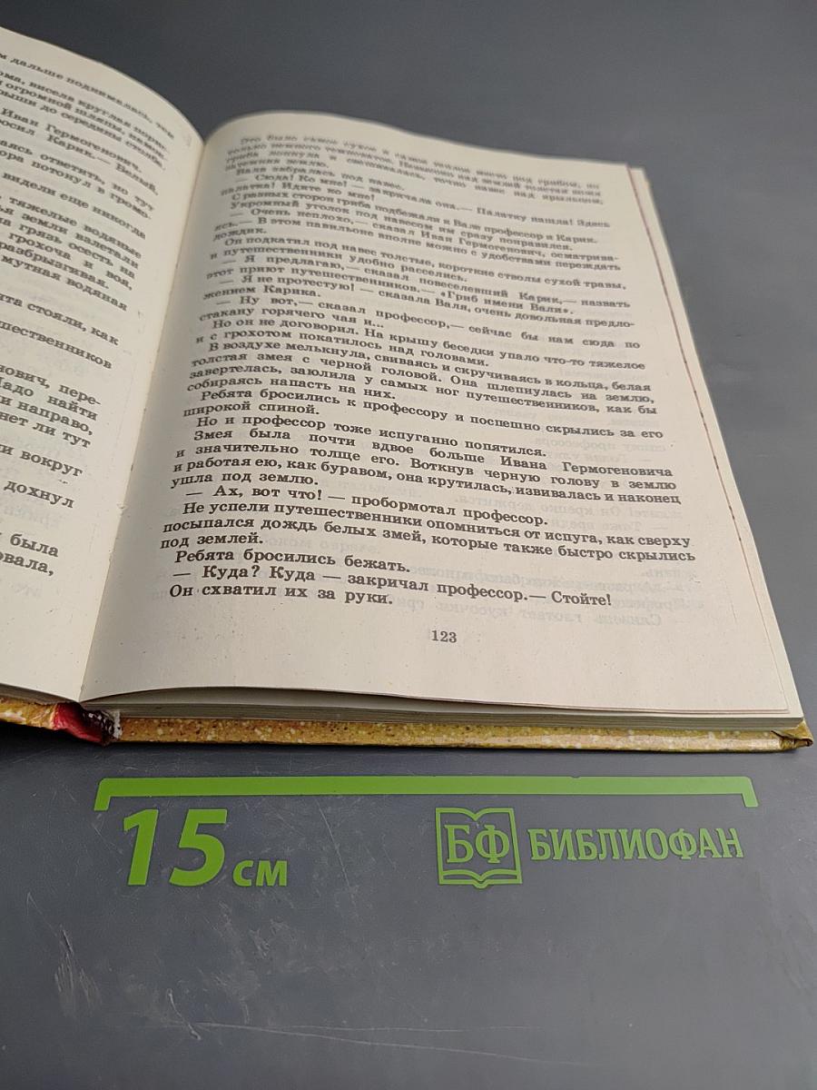 Необыкновенные приключения Карика и Вали