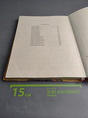 Необыкновенные приключения Карика и Вали