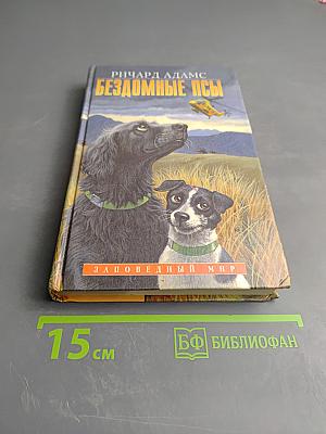 Бездомные псы